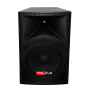 TOLAYE THZ-15 15inch Passive Speaker