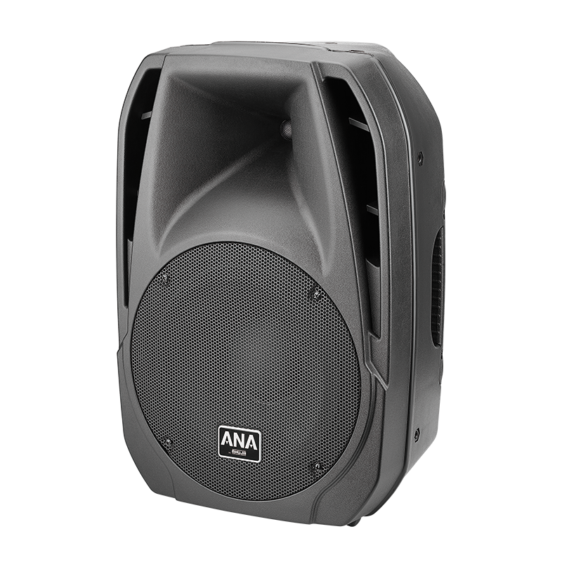 Ahuja XPA-3010DP Active Loudspeaker