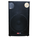 Tolaye TVS-15Jumbo Passive Speaker