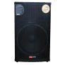 Tolaye TVS-15Jumbo Passive Speaker