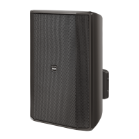 Ahuja IMPRESS-100T Wall Speaker