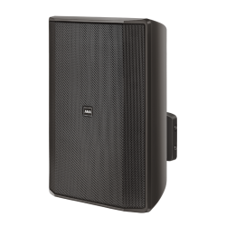 Ahuja IMPRESS-100T Wall Speaker