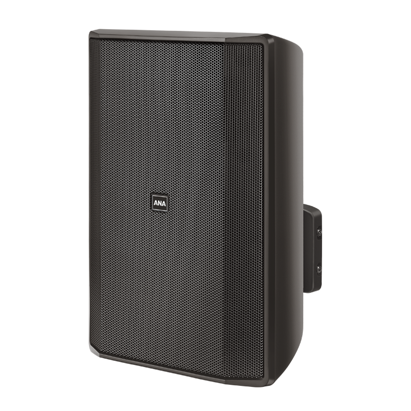 Ahuja IMPRESS-100T Wall Speaker